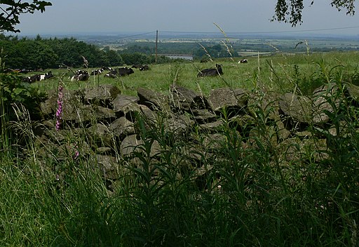 Dry stone wall along Oaks Road - geograph.org.uk - 2105663