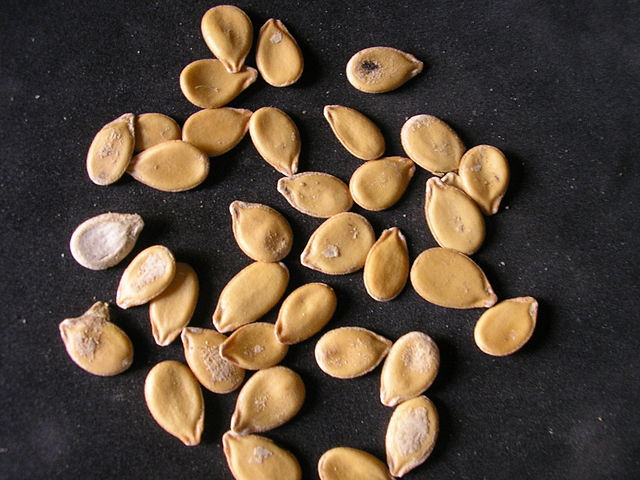 Egusi seeds with shells