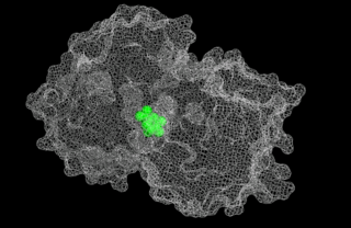 <span class="mw-page-title-main">EPSP synthase</span> Enzyme produced by plants and microorganisms