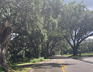 <span class="mw-page-title-main">Earleton, Florida</span> Unincorporated community in Florida, United States