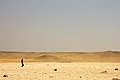 Egypt-man in desert (6493713553).jpg