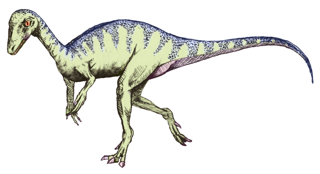 Eoraptor