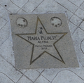 wikimedia_commons=File:Estrela Cans. María Pujalte, actriz. Premio pedigree 2011.png