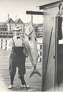 Amberjack - Wikipedia