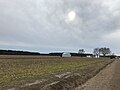 Harvested cotton field in Halifax County