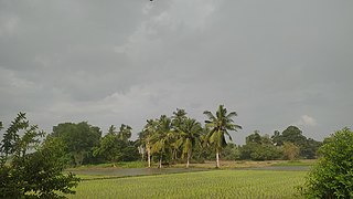 Palem, Nizamabad district