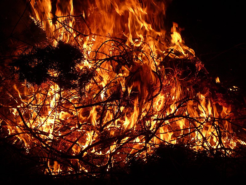 File:Fire from loppings.JPG