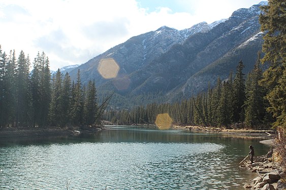 Person fishing on a river in Banff, Canada