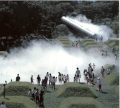 昭和記念公園の『霧の森』（1992年）