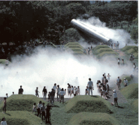 Foggy Forest, parc mémorial Shōwa, Tachikawa.