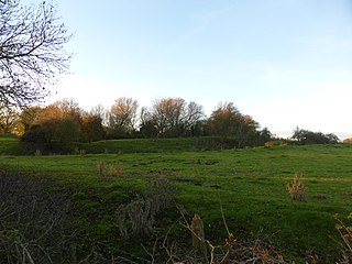 <span class="mw-page-title-main">Folkingham Castle</span> Castle in Lincolnshire, England