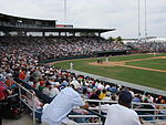 Fort Lauderdale Stadium