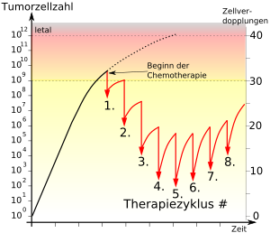 Chemotherapie: Geschichte, Sensitivität, Prinzipien der antineoplastischen Chemotherapie