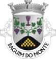 Vlag van Baguim do Monte