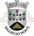 Baguim do Monte arması