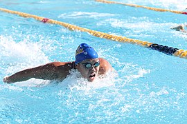 Gabby Dang racing butterfly.jpg