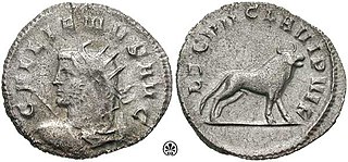 <span class="mw-page-title-main">Terrasidius</span>