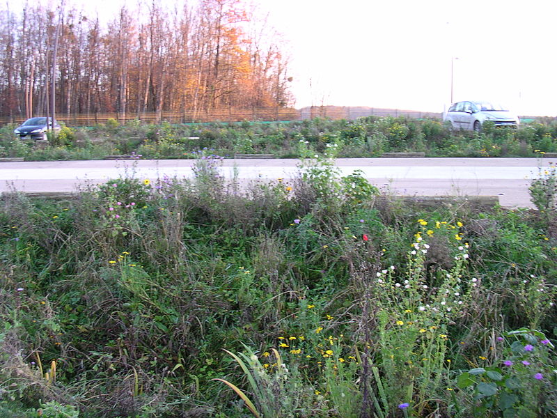 File:Gare de Besançon Franche-Comté TGV 1er décembre 2011 42.JPG