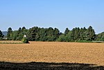 Geschützter Landschaftsbestandteil Gehölzstreifen Askuhle