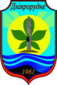 第聶伯羅魯德內徽章