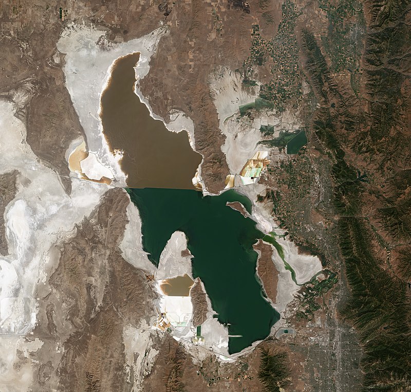 Pink lake - Wikipedia