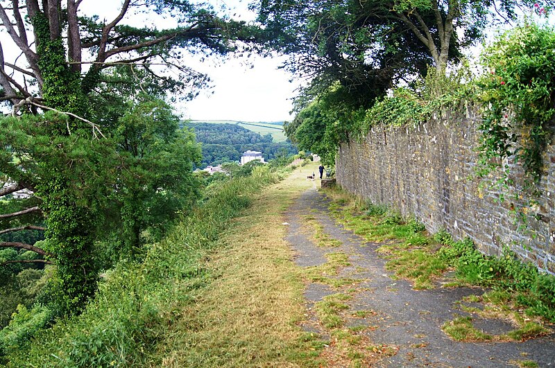 File:Great Torrington Common - geograph.org.uk - 4112339.jpg