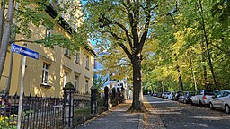 Großmannstraße in Dresden