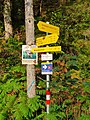 wikimedia_commons=File:Guidepost Forststr. Regalm-Gaudeamushütte.jpg