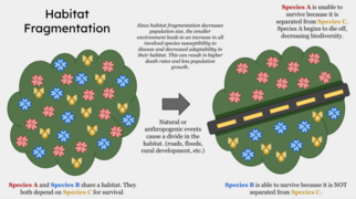 Habitat Fragmentation.png