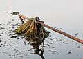 * Nomination Chain of the jetty at the Halterner Stausee (at evening), Haltern am See, North Rhine-Westphalia, Germany --XRay 04:49, 5 June 2016 (UTC) * Promotion Good quality. --Johann Jaritz 06:34, 5 June 2016 (UTC)