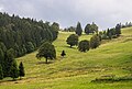 Oberried Hintertal