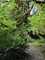Spruce Nature Trail