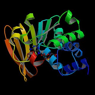 <span class="mw-page-title-main">L-isoaspartyl methyltransferase</span>