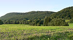 Burg Hunnesrück