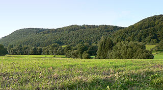 Spüligbach (Ilme) River in Germany