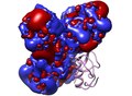 File:Induced-Fit-in-Protein-Multimerization-The-HFBI-Case-pcbi.1005202.s005.ogv