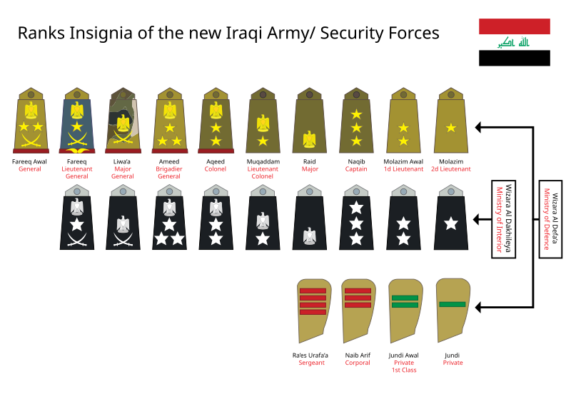 Погоны стран. Погоны сирийской армии воинские звания. Армия Ирака погоны. Звания в армии Ирака. Знаки различия армии Ирака.