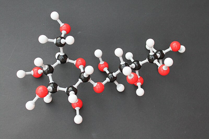 File:Isomalt Molekülbaukasten 9602.JPG