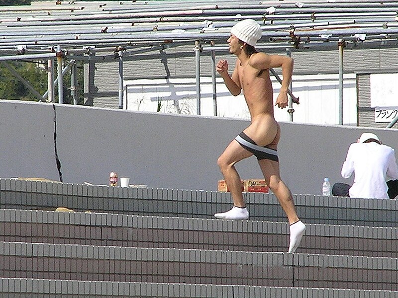 File:Japanese-Streaking.jpg