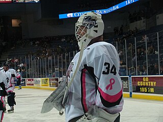 <span class="mw-page-title-main">Kellen Briggs</span> American ice hockey player