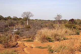 <span class="mw-page-title-main">Kéran National Park</span> National park in Togo