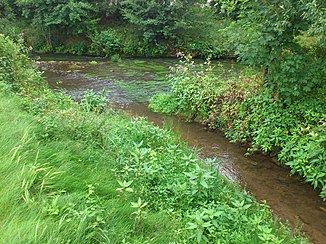 The Kinzig (front right) flows into the Mümling