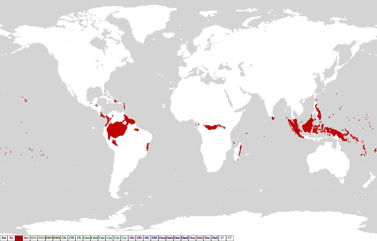 Clima equatoriale - Wikipedia