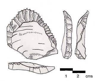 <span class="mw-page-title-main">Ksar Akil</span> Upper Paleolithic site in Lebanon