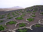 Vignette pour Vin volcanique