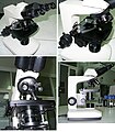 Microscopi compost binocular, amb oculars de 10X i quatre objectius