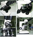 Binocular laboratory microscope