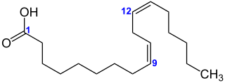 Linolsäure, wissenschaftlich 