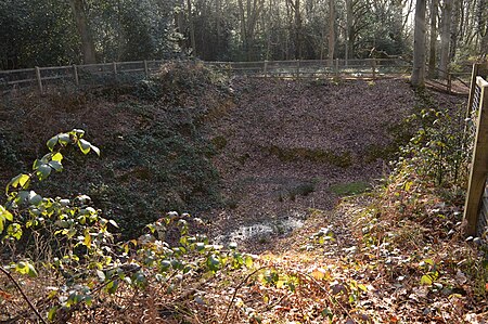 Little Heath Pit 2