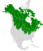 Verbreitungskarte Lota lota in Nordamerika